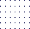 Mywebmaid